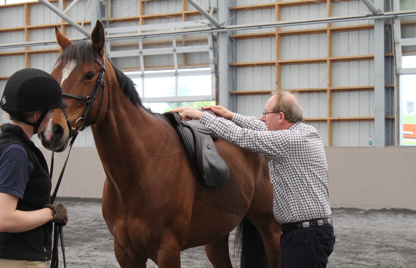 Featured image for “English Saddle Fitting for OTTBs”