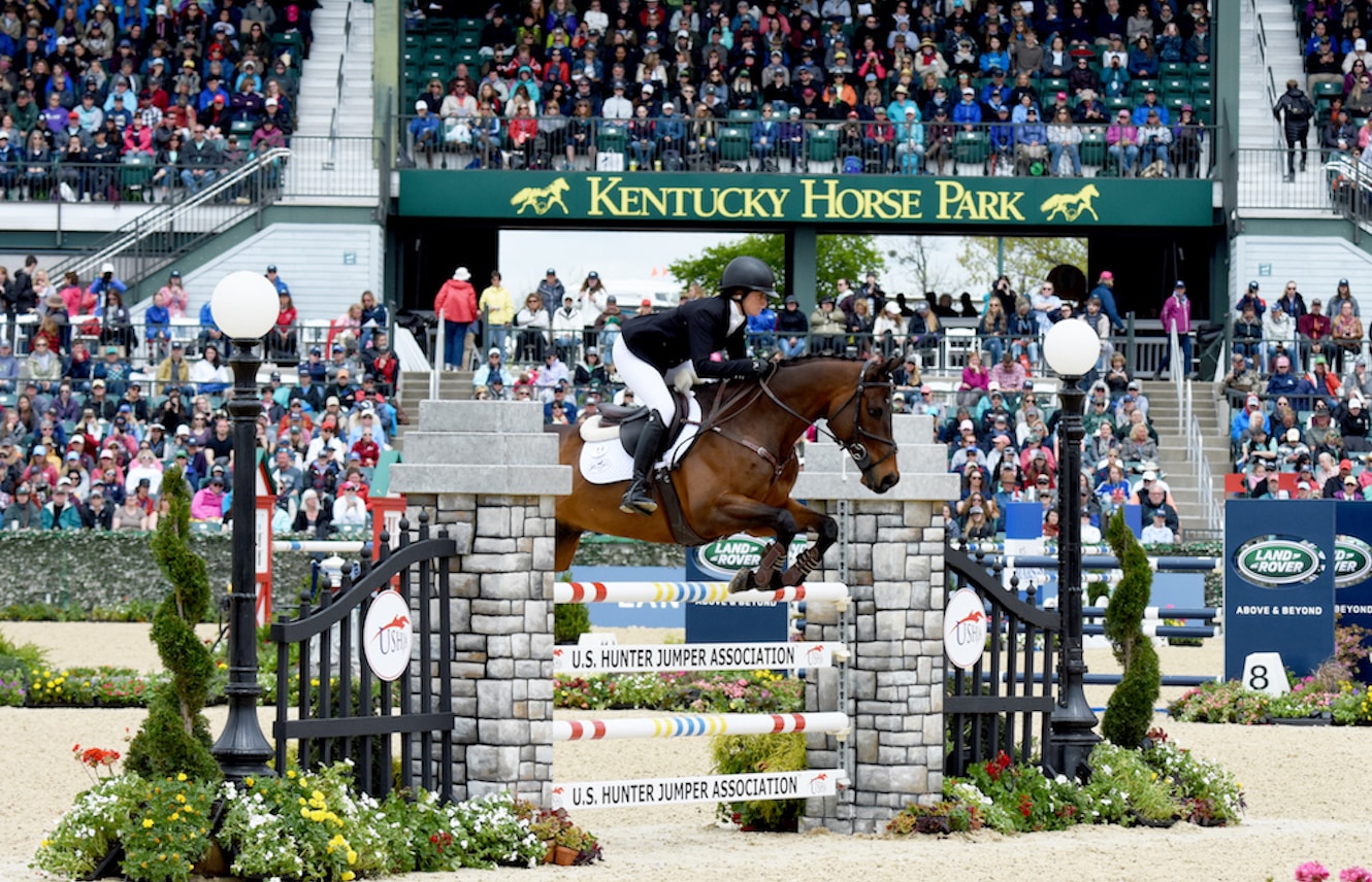 Featured image for “Celebrate LRK3DE Weekend with the Retired Racehorse Project!”