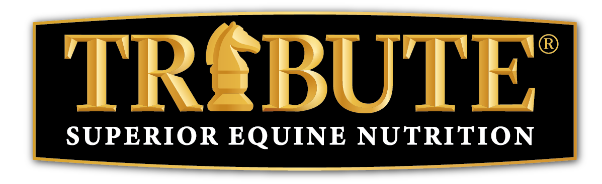 Featured image for “Tribute Equine Nutrition”