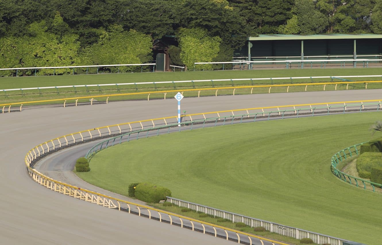 Featured image for “What Makes a Turf vs. a Dirt Horse?”