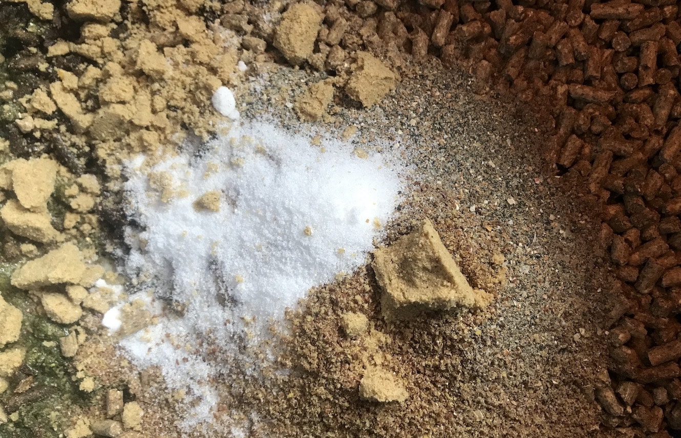 Featured image for “Nutritional Supplements for Your OTTB”