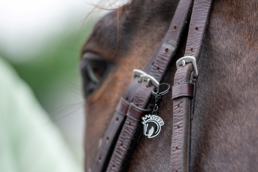 Pinsnickety OTTB Charm - Image 2