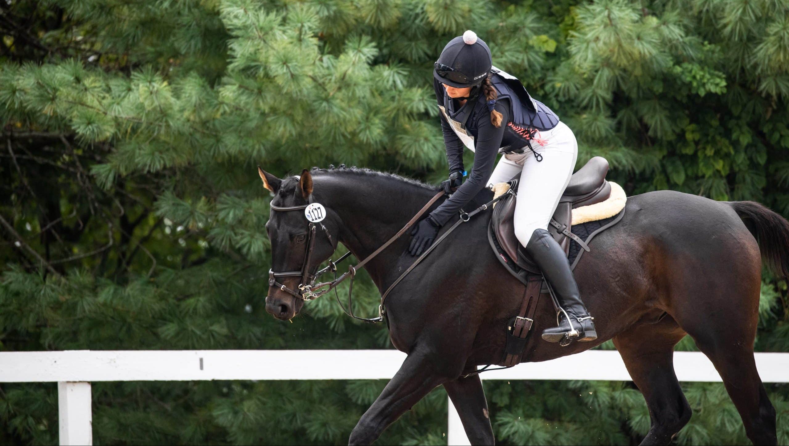 Horse Rsa Special Awards - Retired Racehorse Project