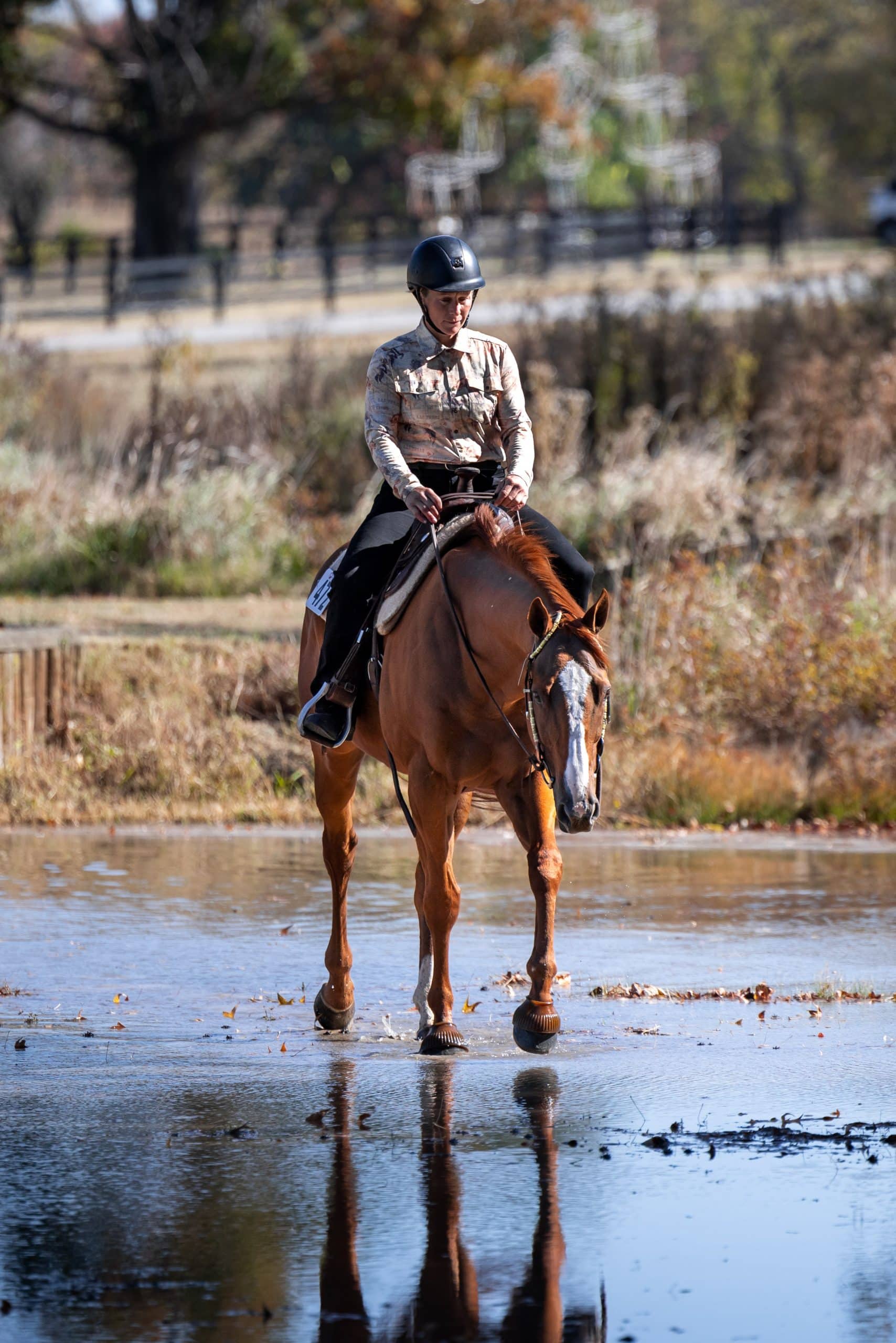 Featured image for “Whitmore’s Next Chapter”