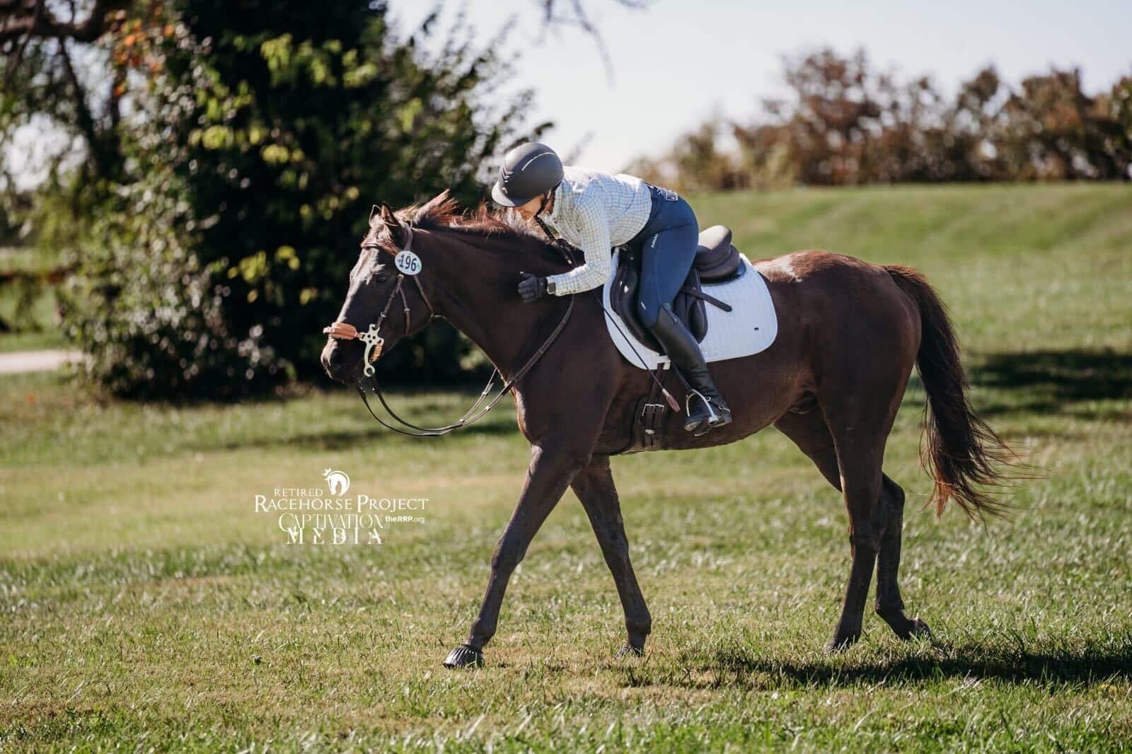 Featured image for “First Day of Preliminary Competition Concludes at 2025 Thoroughbred Makeover”