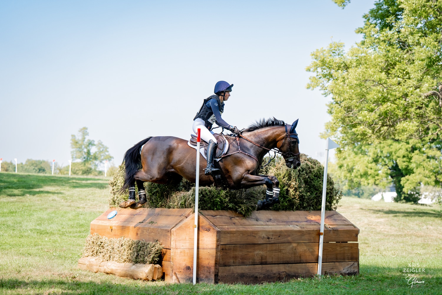 Featured image for “Letter to the Editor: Malibu Moon Is Second-Most Prolific Sire of Kentucky Three-Day Event Starters”