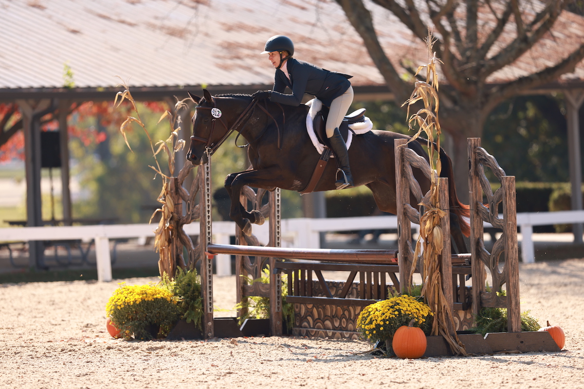 Featured image for “Claiborne Farm and Lane’s End Farm Co-Sponsor Thoroughbred Makeover Former Broodmare Division”