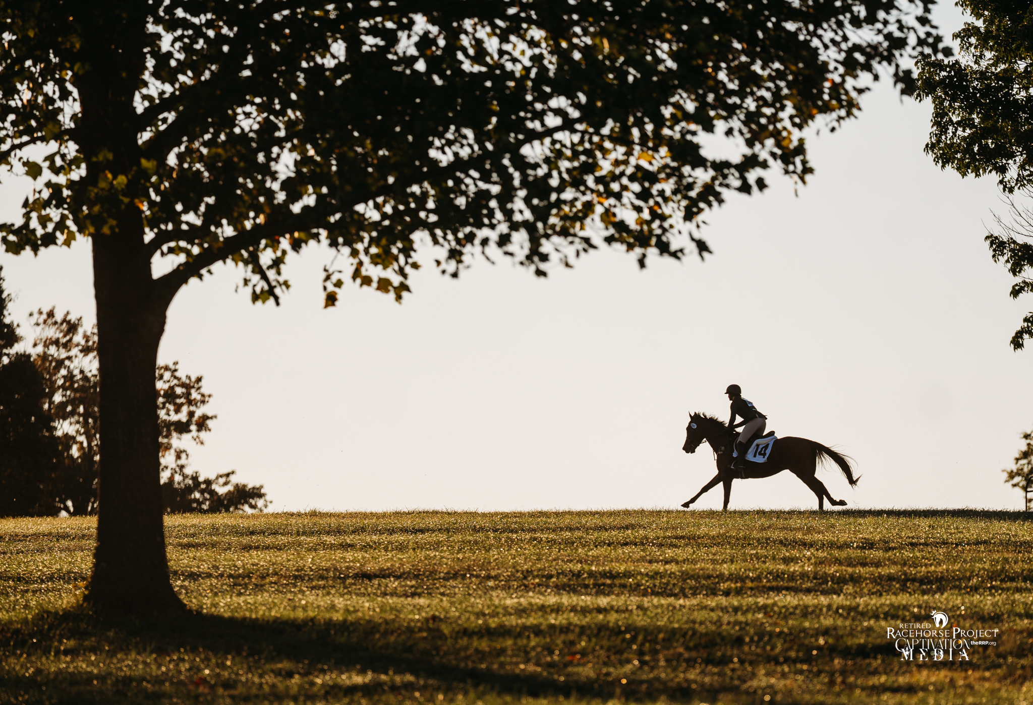 Featured image for “The Thoroughbred Lovers’ Guide to the 2026 Defender Kentucky Three-Day Event”