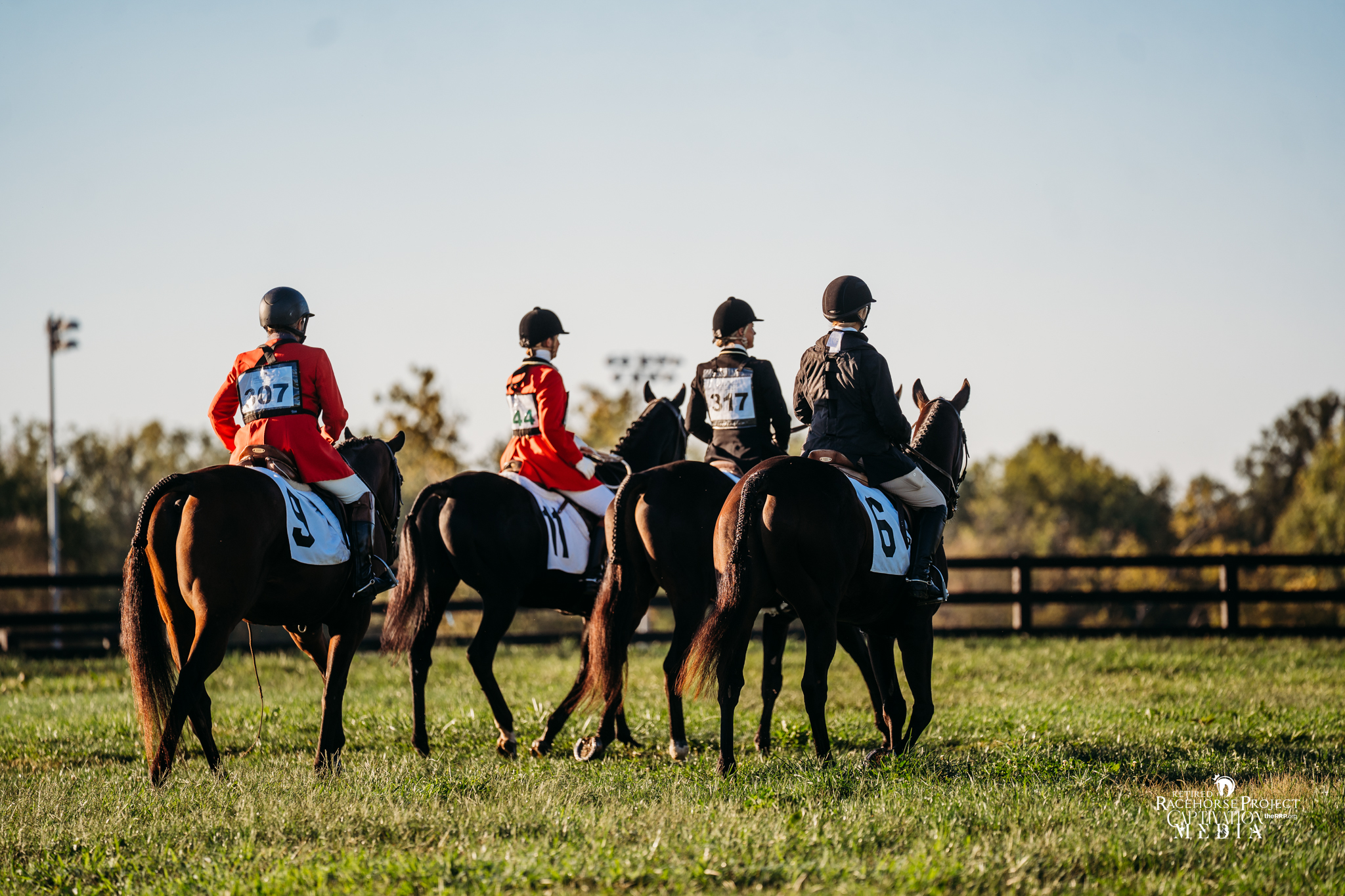 Featured image for “RRP Is Hiring!”