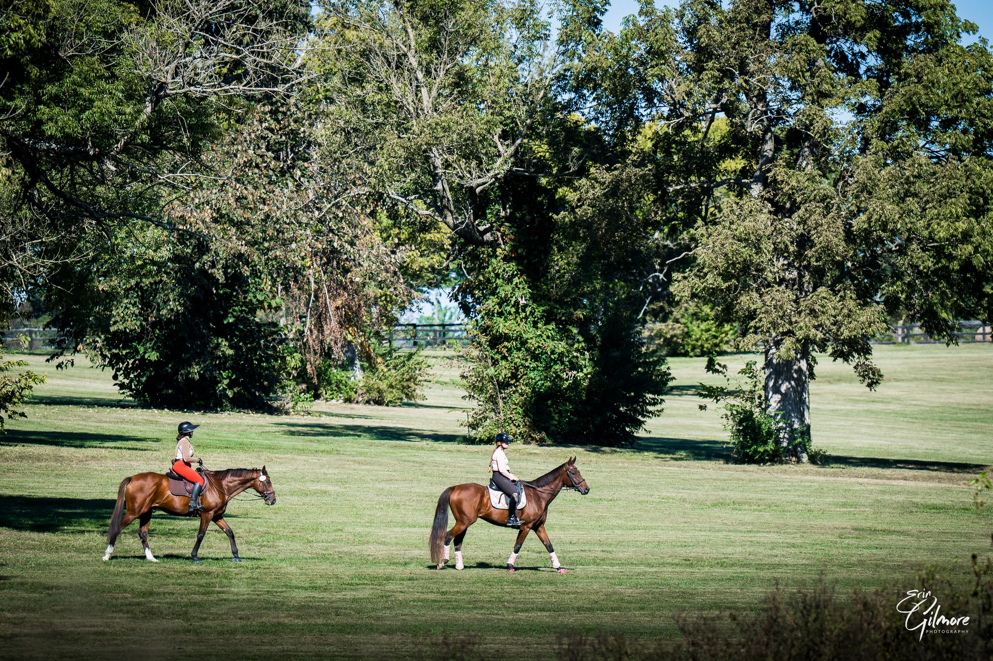 Featured image for “First Day of Preliminary Competition Concludes at 2026 Thoroughbred Makeover”