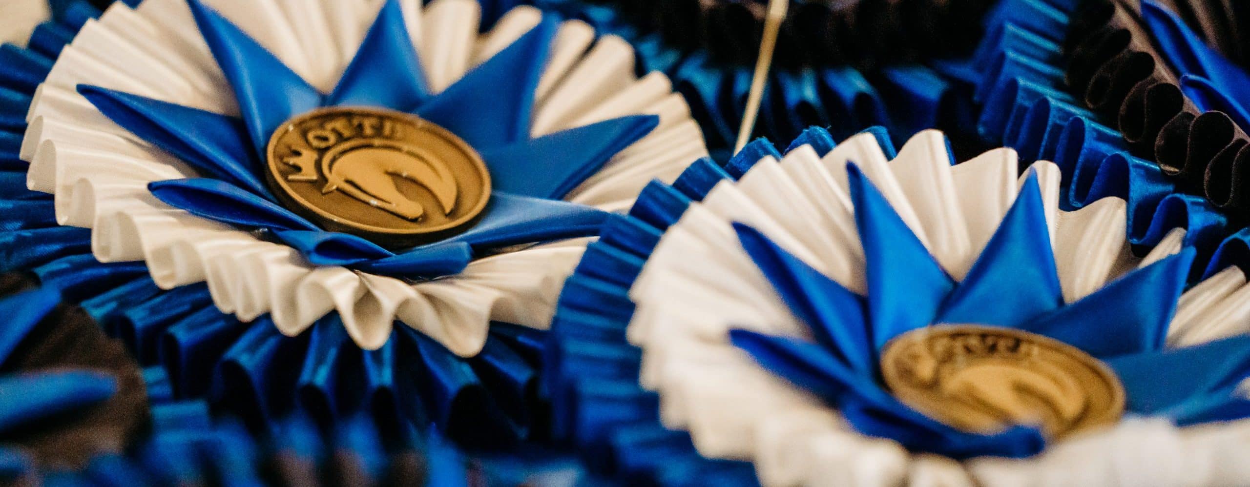 Featured image for “Anonymous Donor to Match $4,500 in RRP’s Fund-a-Need Campaign”