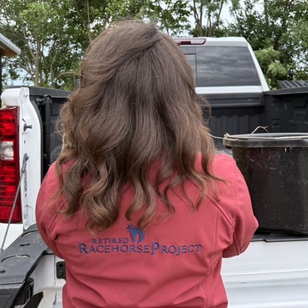 Ariat Logo Softshell Jacket - Image 2