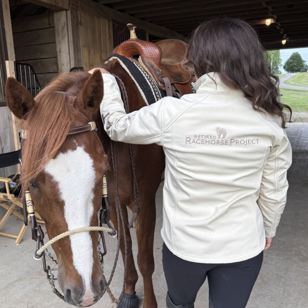 Featured image for “Ariat Logo Softshell Jacket”