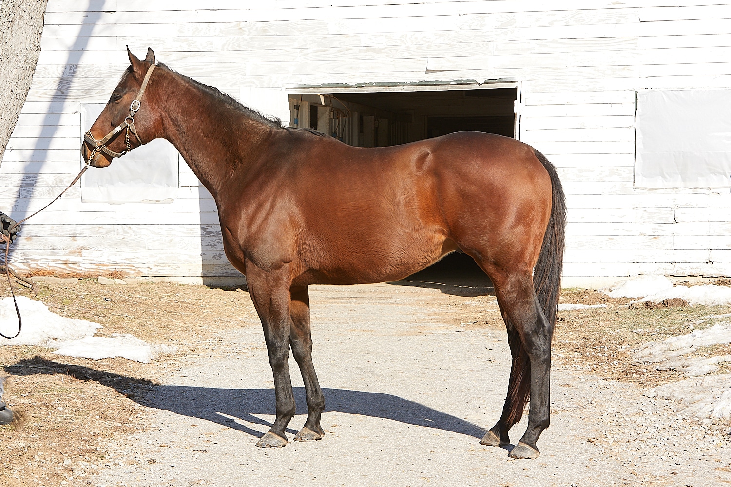 Featured image for “Picking Prospects Winter 2025”