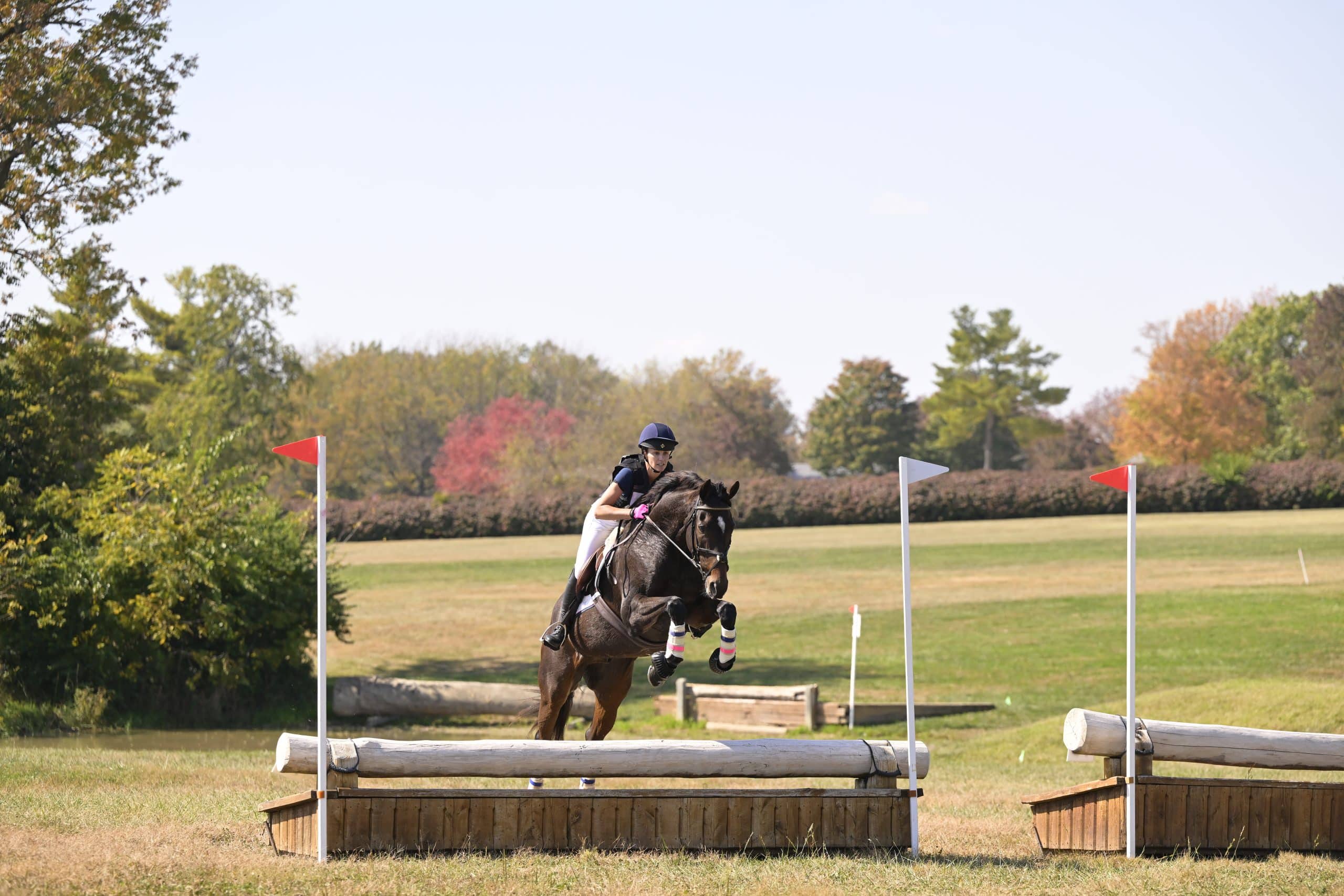 Featured image for “The Other Half of Aftercare”