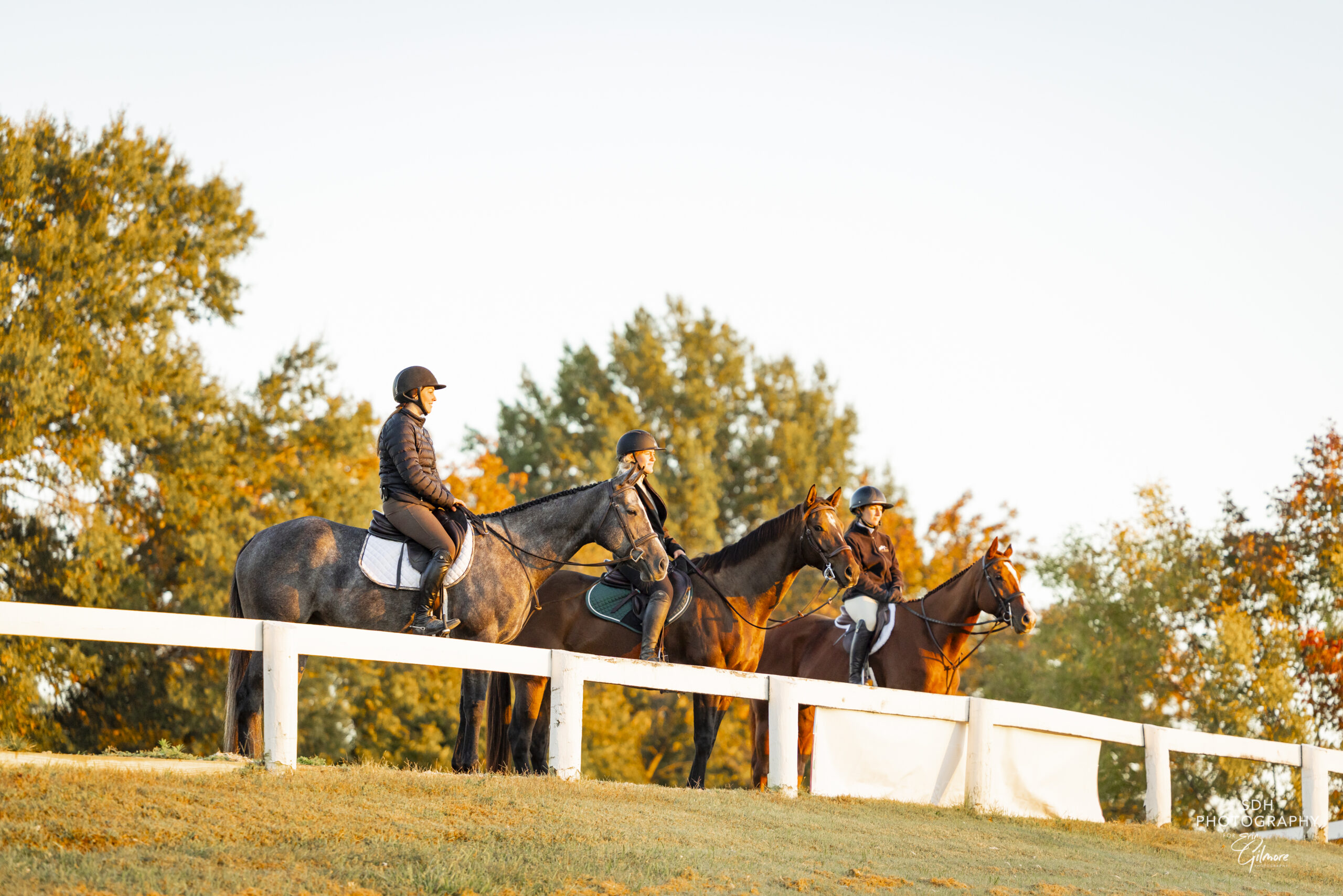 Featured image for “Preliminary Competition Wraps at 2026 Thoroughbred Makeover”