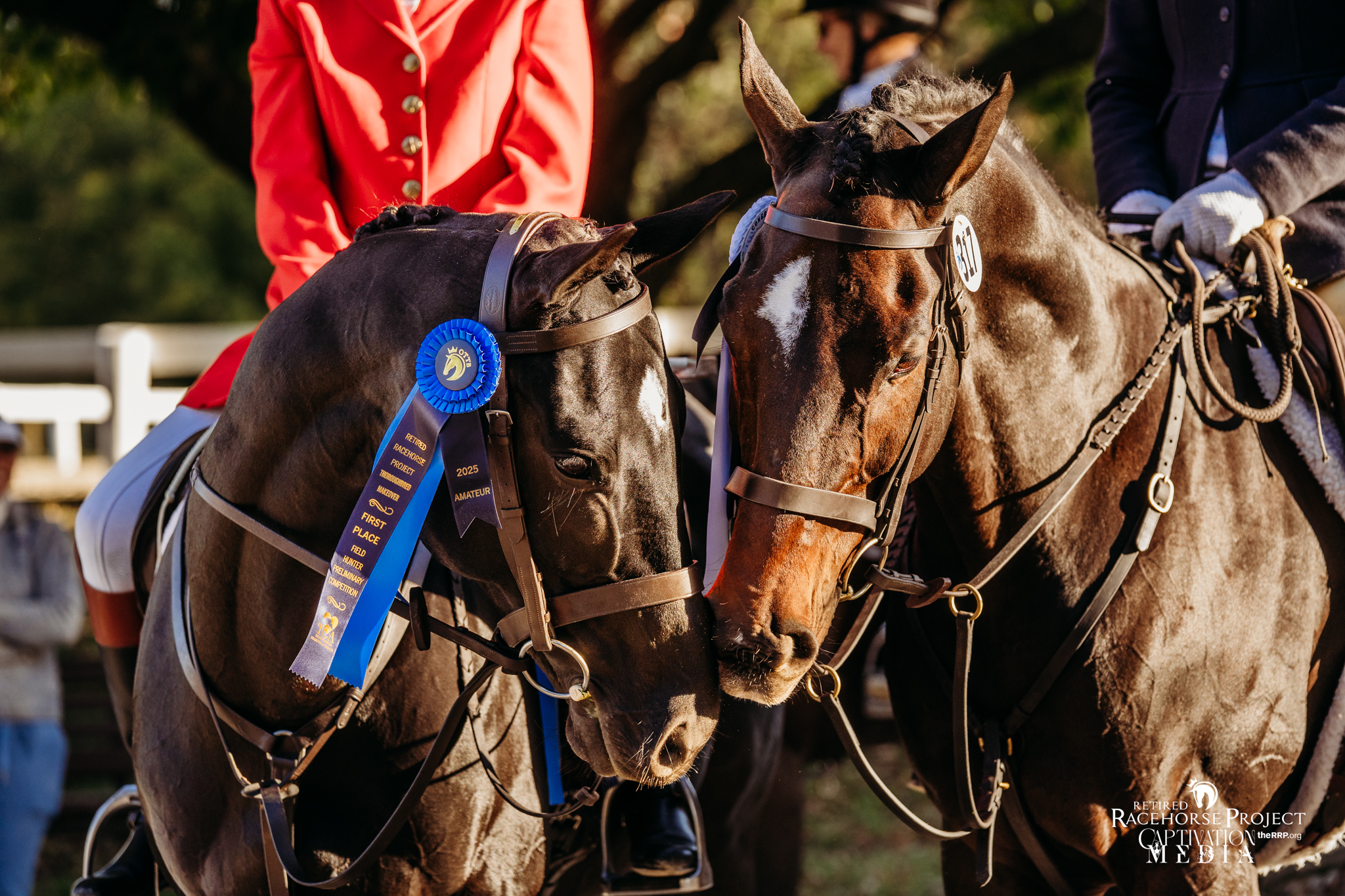 Featured image for “Accepted Trainers Announced for 2026 Thoroughbred Makeover”