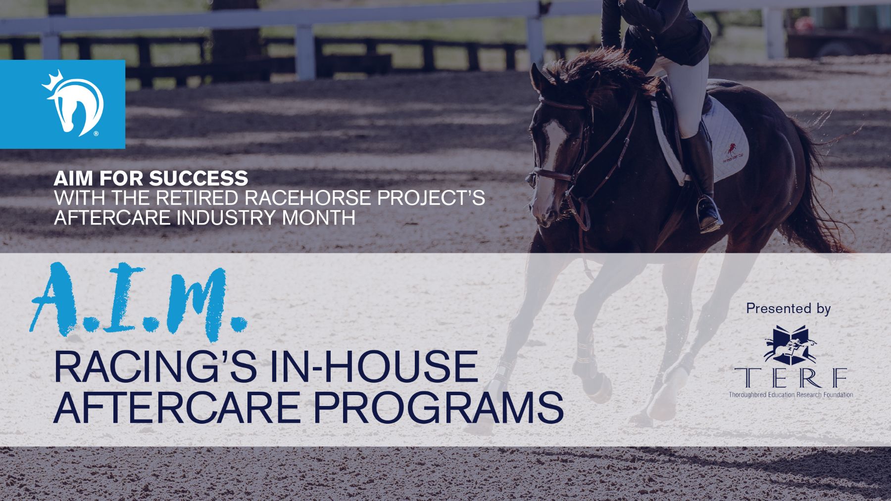 Featured image for “2025 Aftercare Industry Month: Racing’s In-House Aftercare Programs”