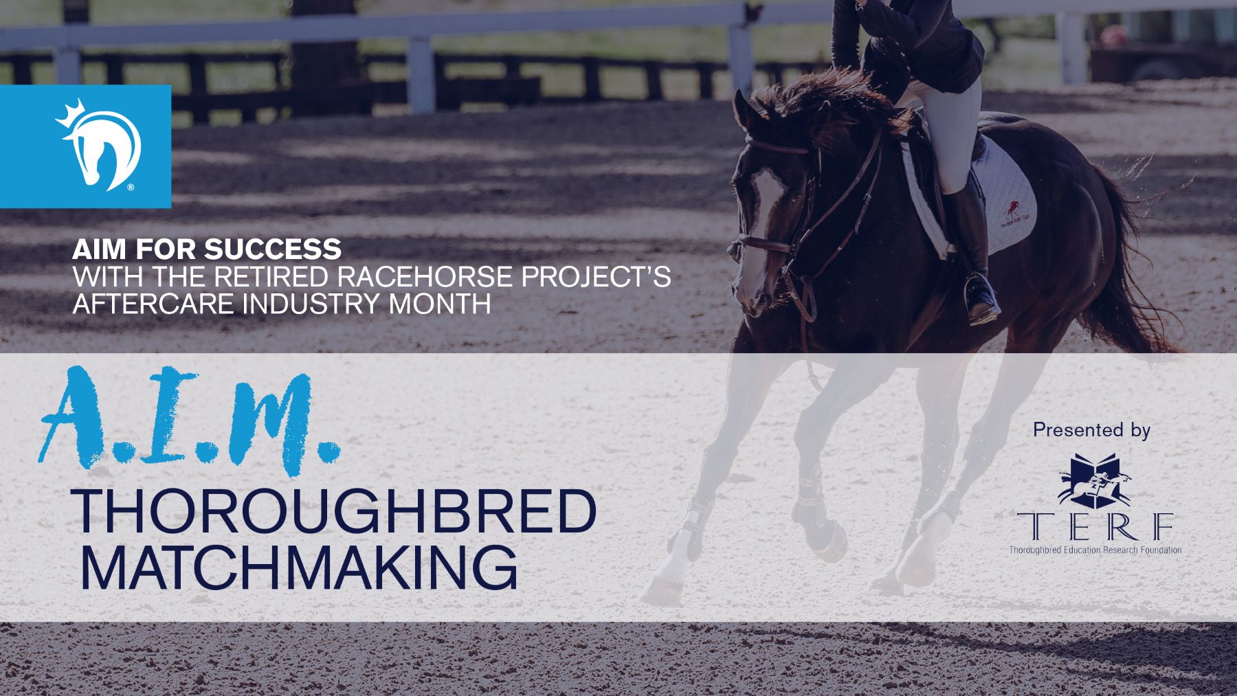 Featured image for “2025 Aftercare Industry Month: Thoroughbred Matchmaking”