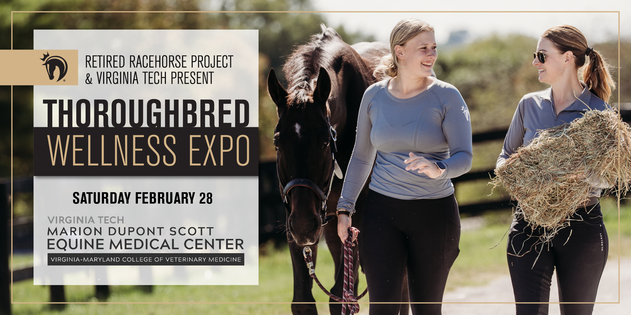 Featured image for “Retired Racehorse Project & Virginia Tech Team Up for Thoroughbred Wellness Expo”