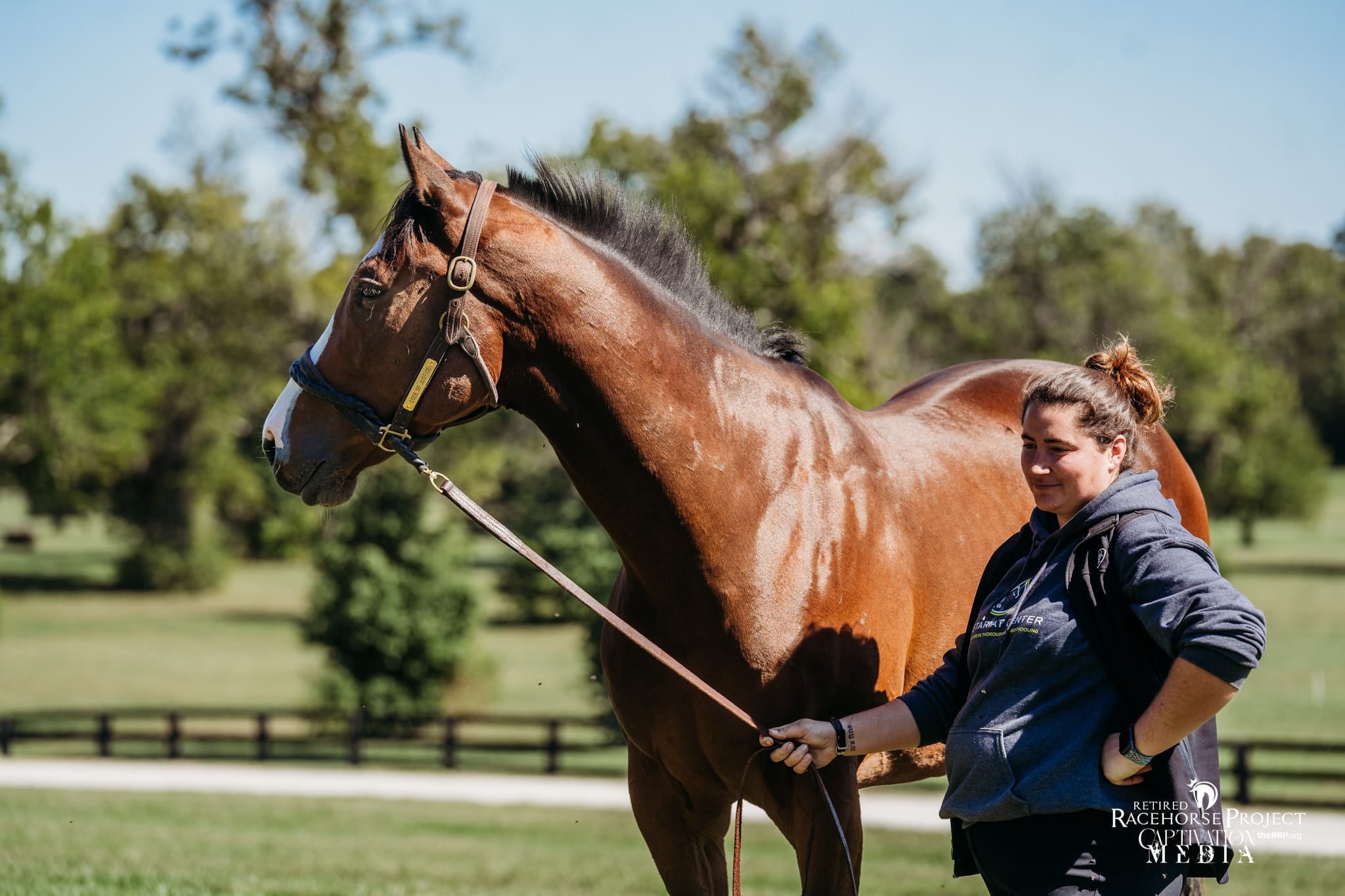 Featured image for “How to List Your Horse”