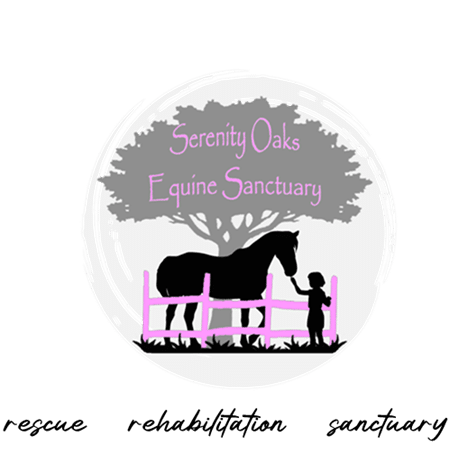 Featured image for “Serenity Oaks Equine Sanctuary”