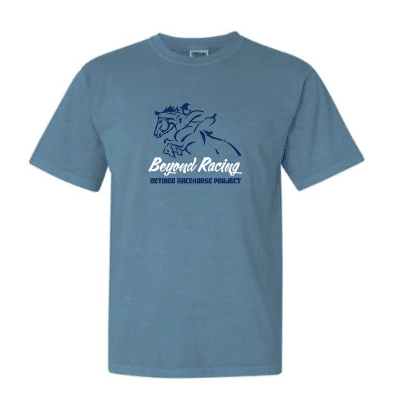 Discipline T-Shirt - Image 2