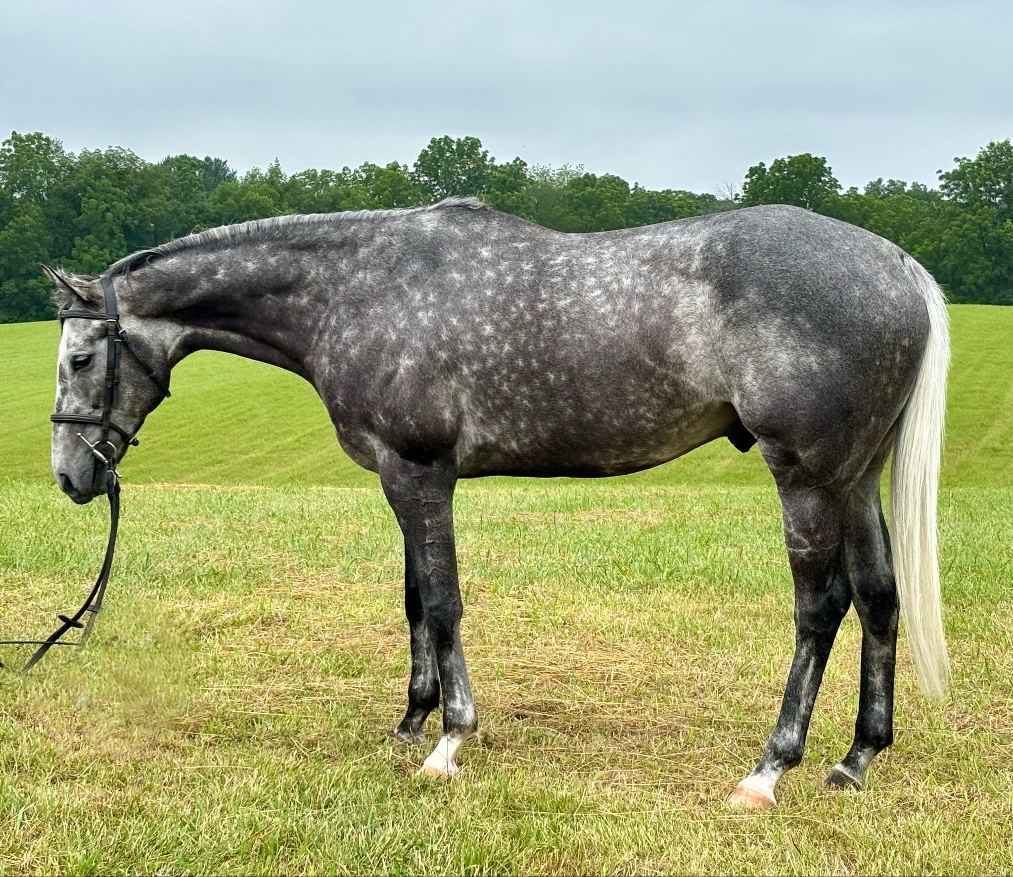 Featured image for “Picking Prospects: Summer 2025”