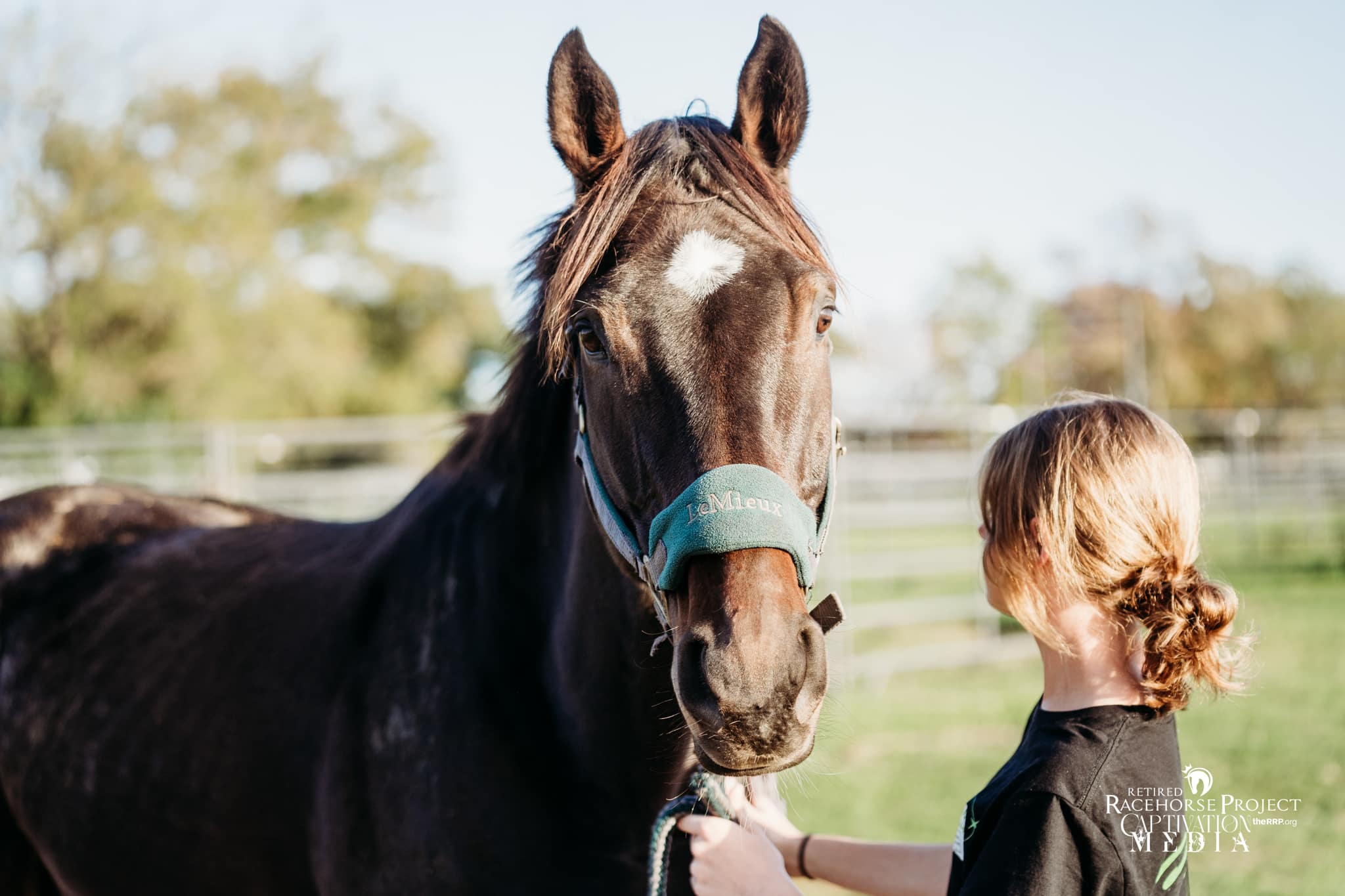 Featured image for “Ask a Trainer: Pairing Juniors & OTTBs”