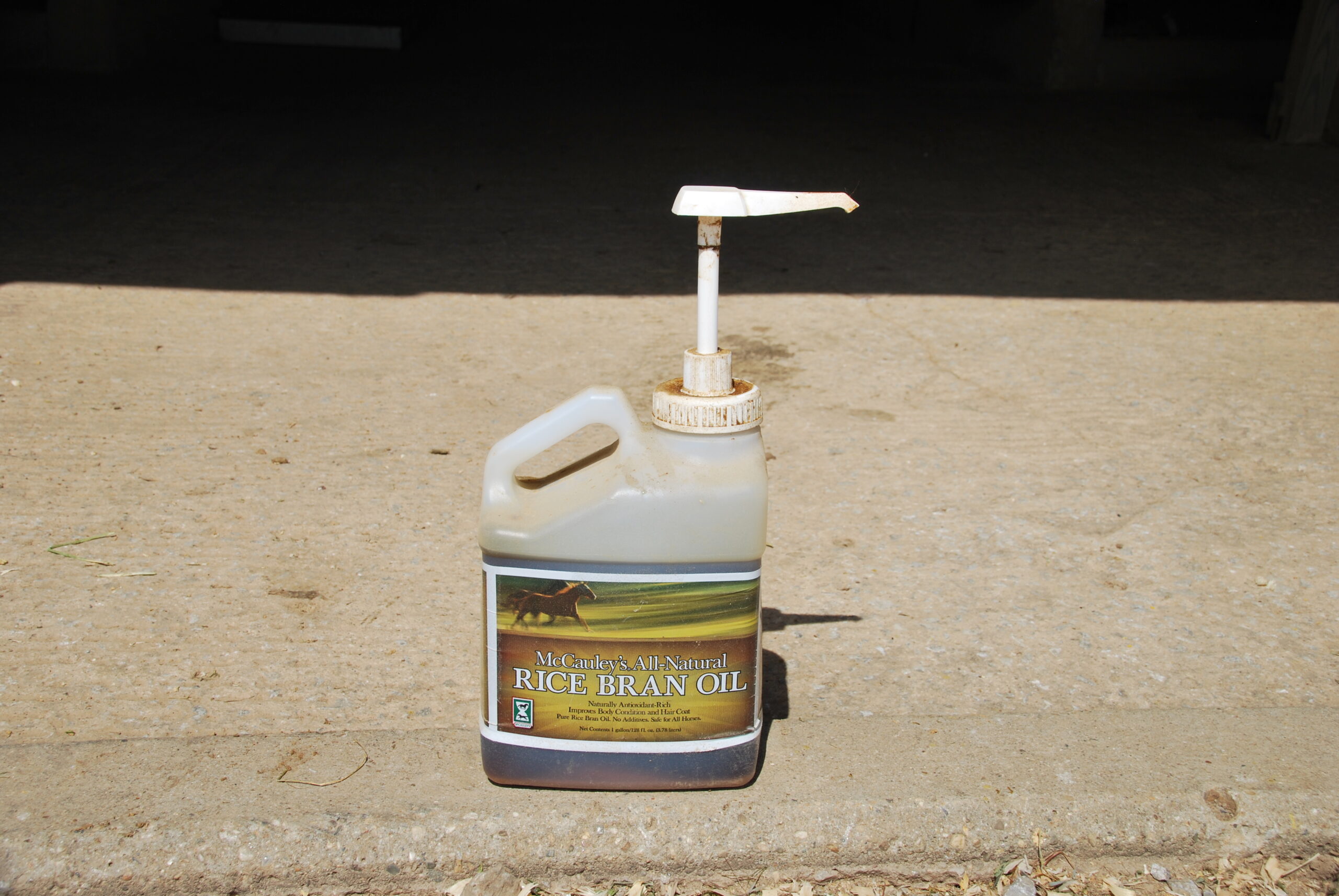 Featured image for “Feeding Fat to Your OTTB”