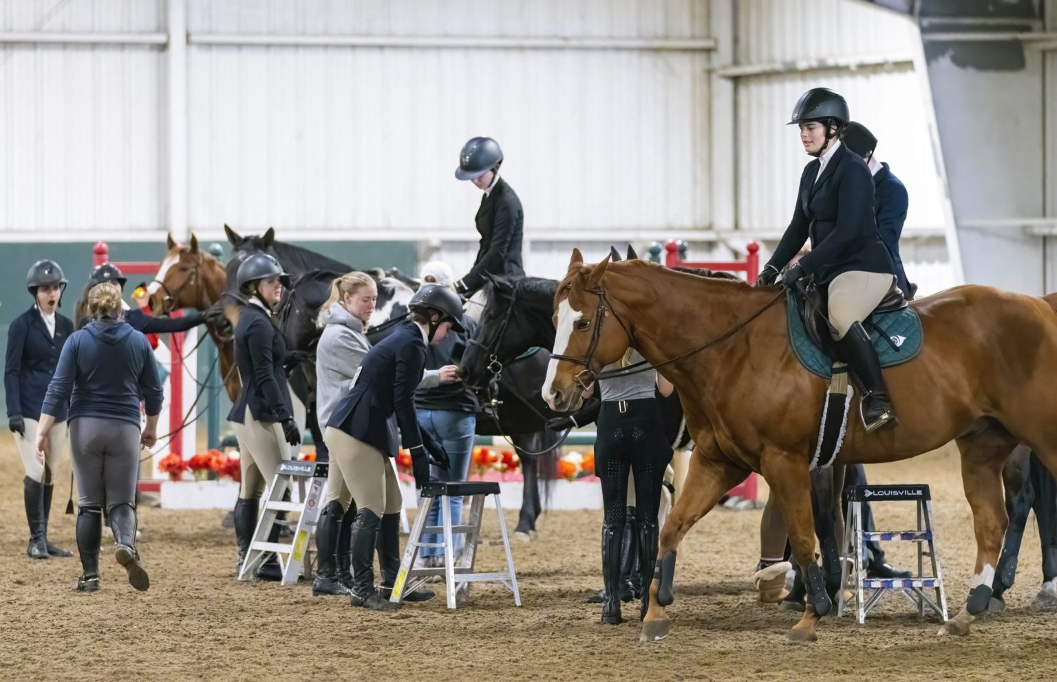 Featured image for “Basic Exercises For Every Showing Horse & Rider”