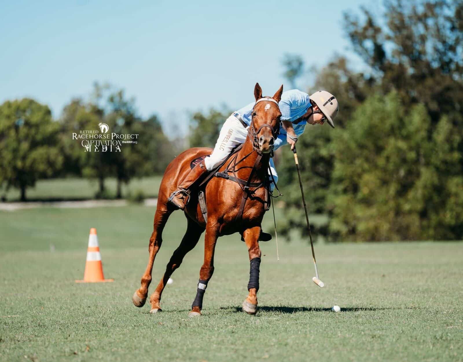 Featured image for “Preliminary Competition Wraps at the 2025 Thoroughbred Makeover”