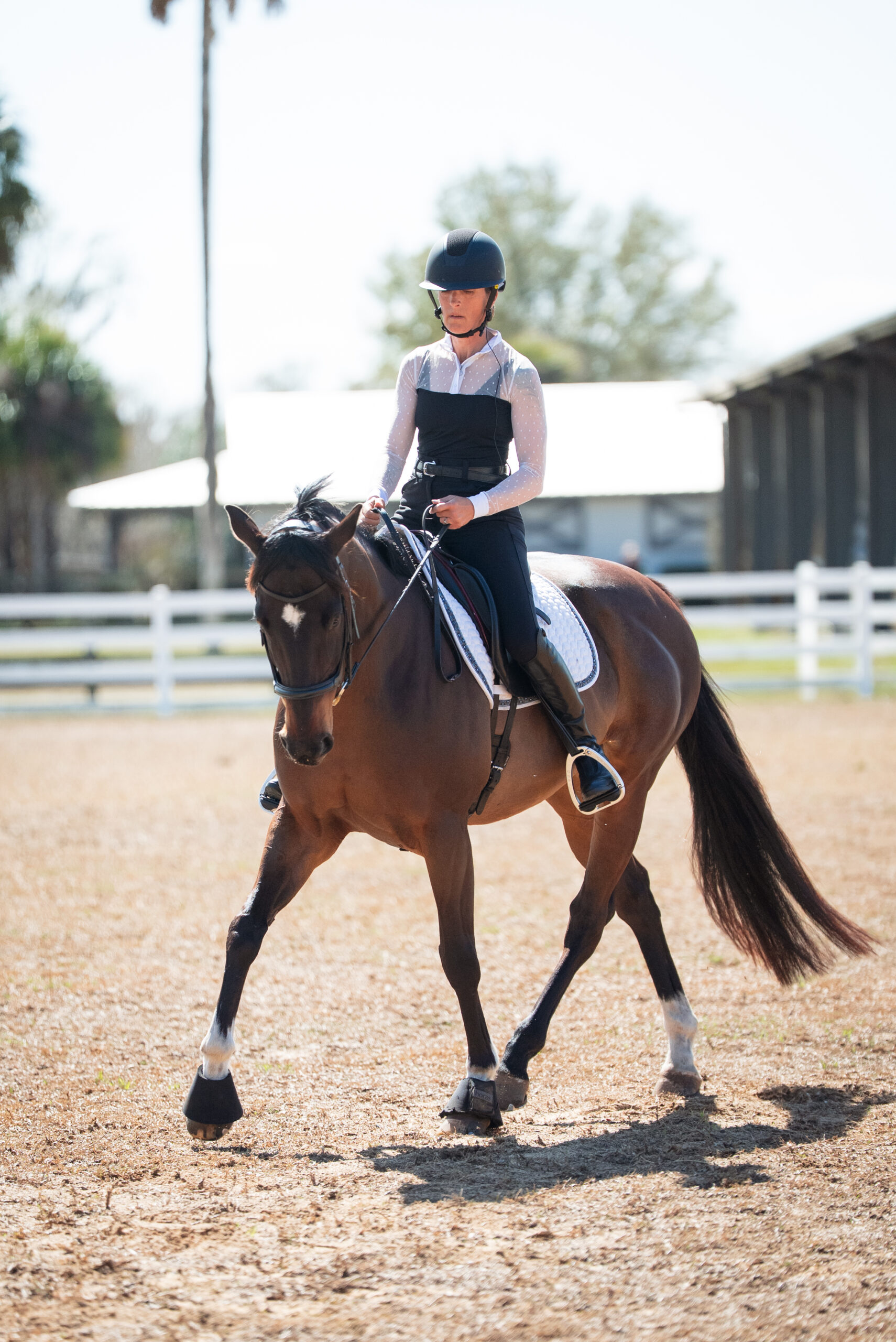 Featured image for “Topline Training for Thoroughbreds”
