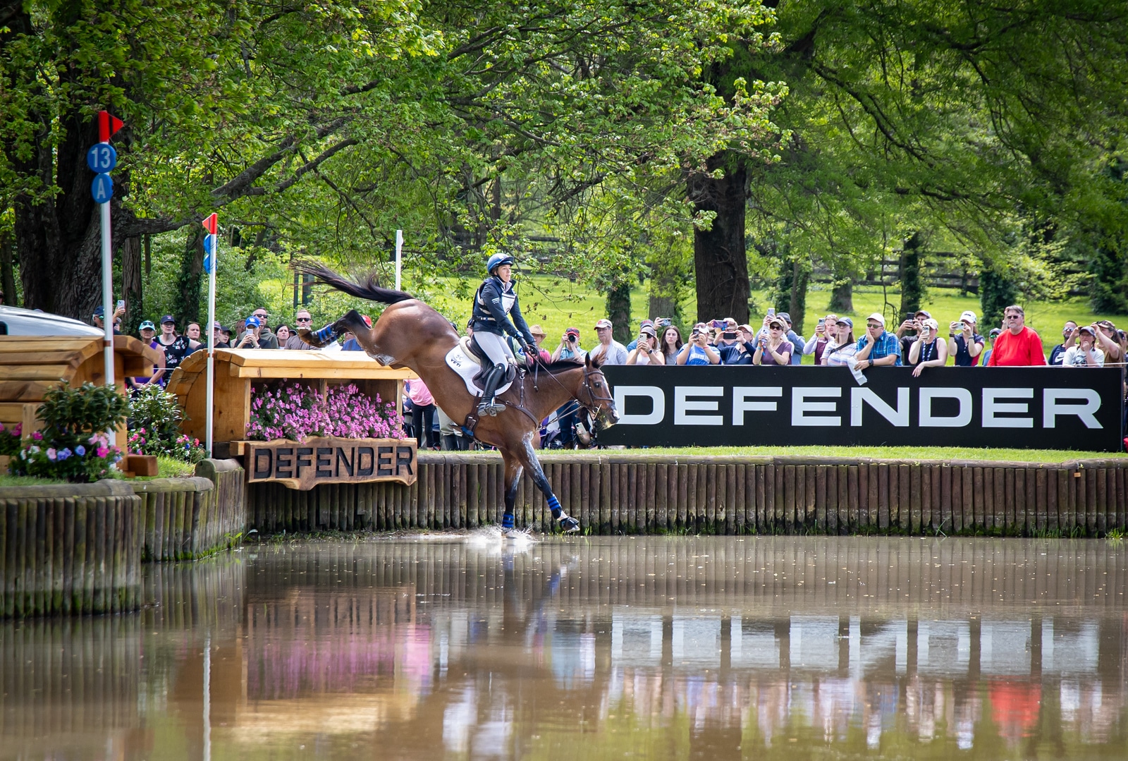 Featured image for “‘Not a $1 Horse’: Changing the Narrative of the Thoroughbred Beyond Racing”