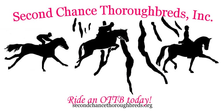 Second Chance Thoroughbreds Inc