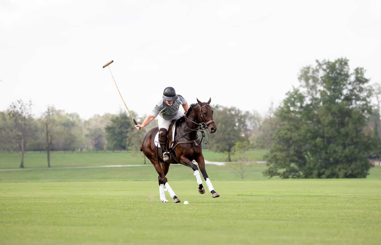 Featured image for “Final Day of Preliminary Competition Wraps at the Thoroughbred Makeover”