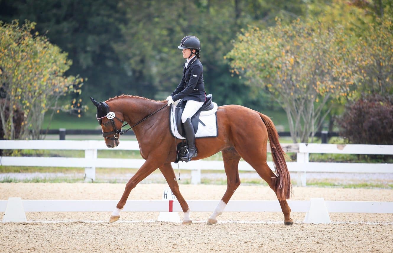 Featured image for “The 2021 Thoroughbred Makeover and National Symposium is One For the History Books”
