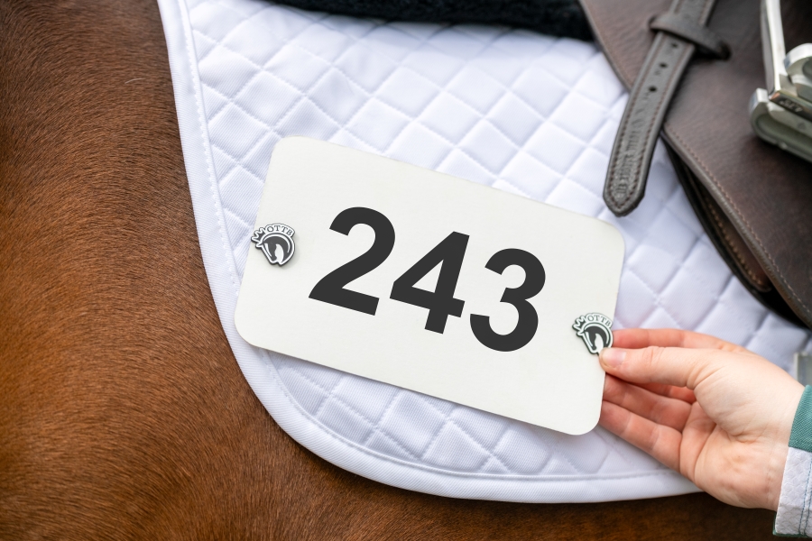 Pinsnickety OTTB Number Pins - Image 2