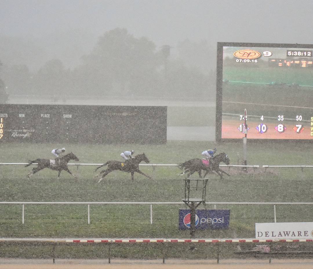 Featured image for “Understanding Different Types of Track Conditions”