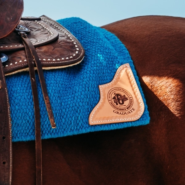 Featured image for “Makeover Anniversary Grad Pad (Western)”