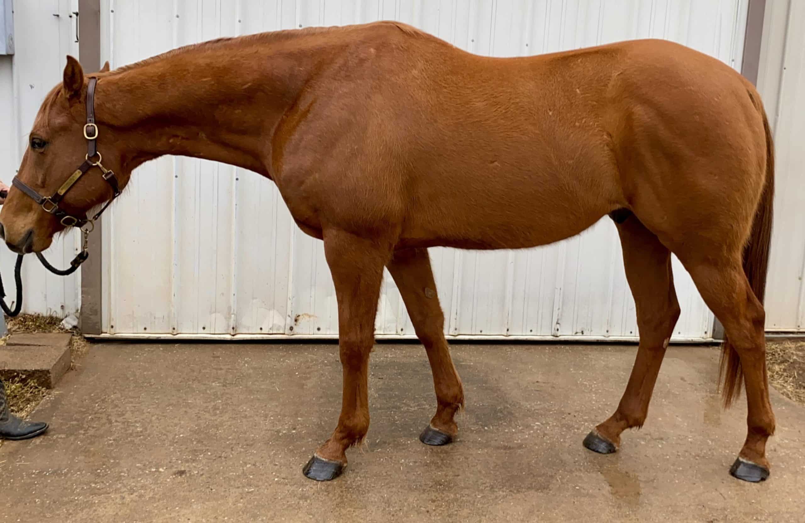 Featured image for “Picking Prospects Summer 2024”