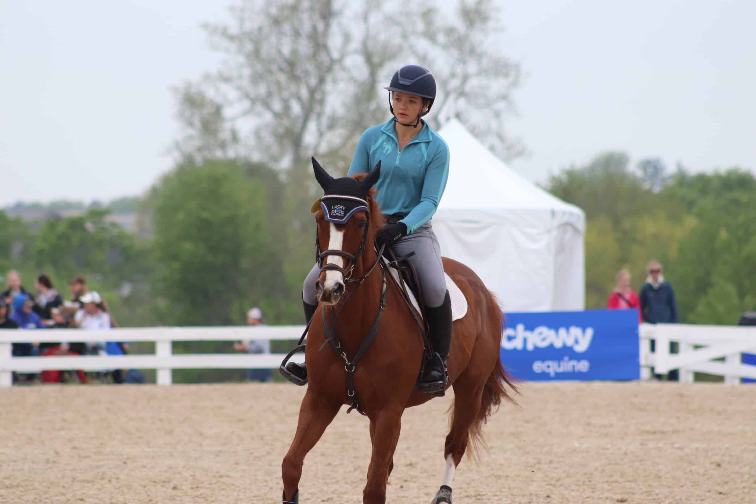 Ariat Sunstopper 3.0 - Image 2