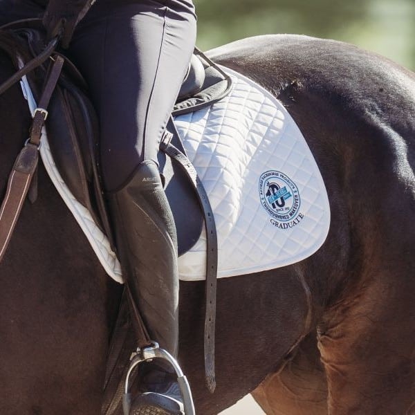 Featured image for “Makeover Anniversary Grad Pad”