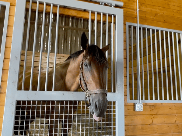 Featured image for ““Good Vibes Only” Contest Winners”