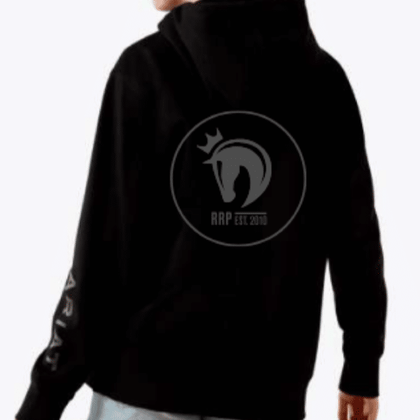 Featured image for “Ariat Logo 2.0 Hoodie”