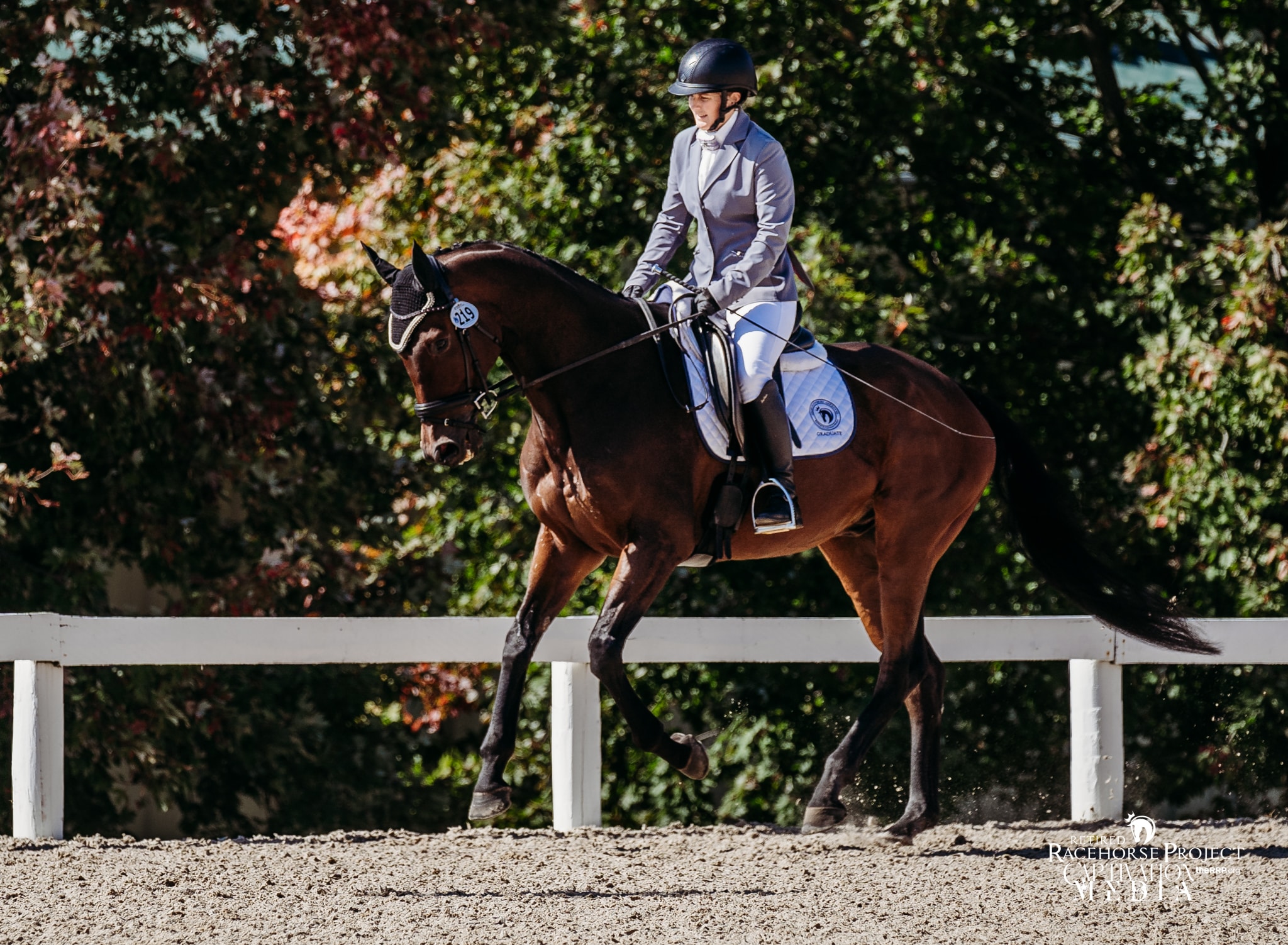 Featured image for “What Is an OTTB?”