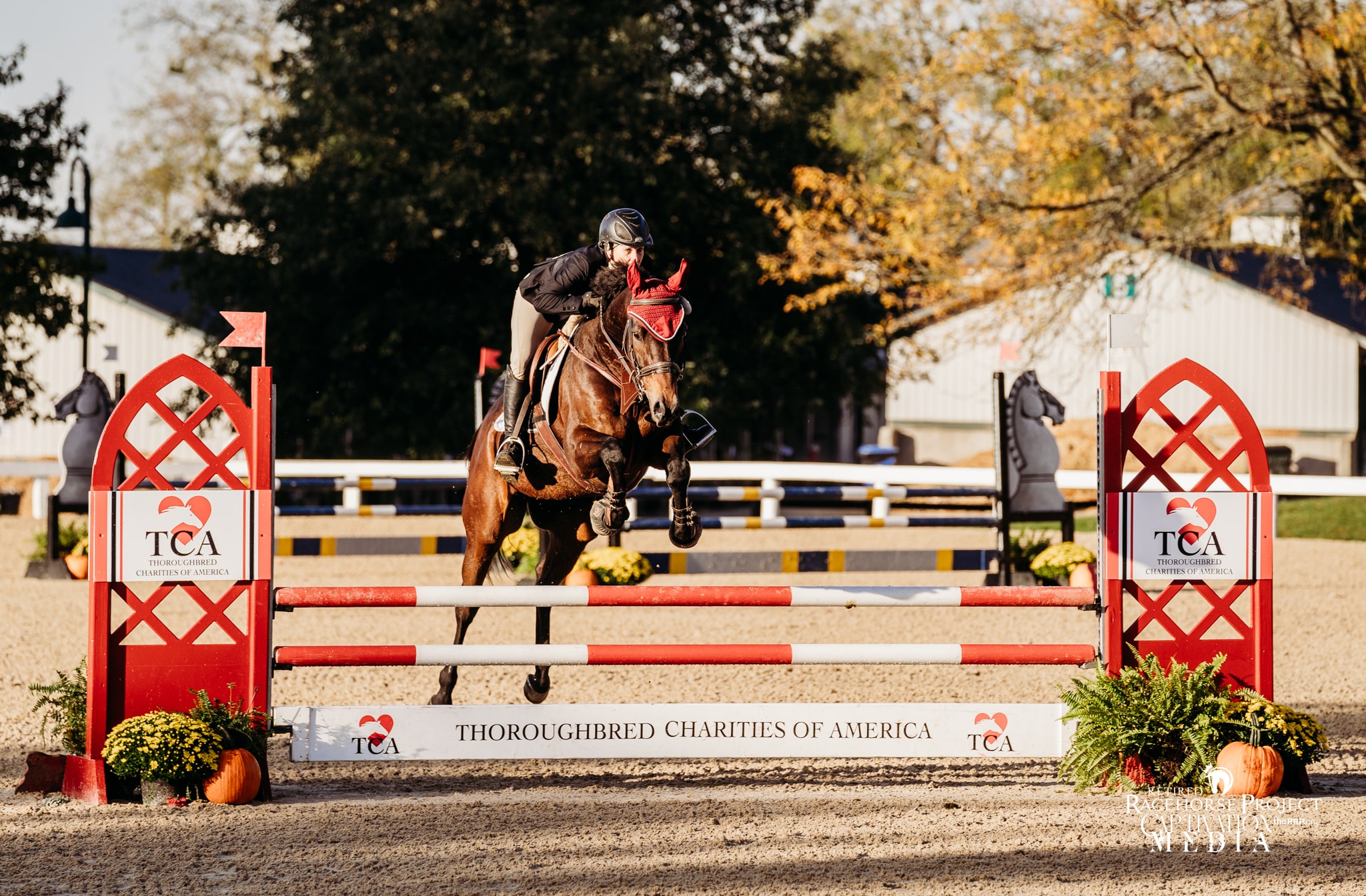 Featured image for “Thoroughbred Charities of America Returns as Presenting Sponsor of 2025 Thoroughbred Makeover and National Symposium”
