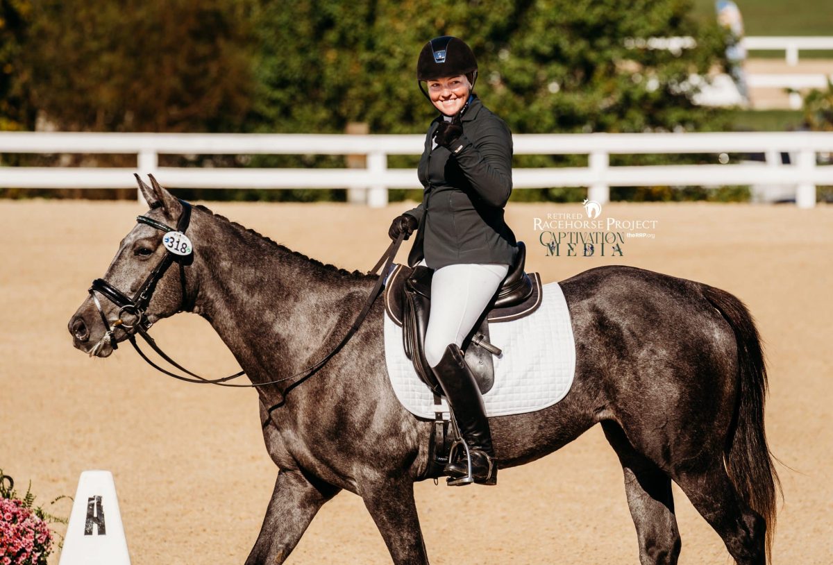 Featured image for “Preliminary Competition Concludes at the 2024 Thoroughbred Makeover”