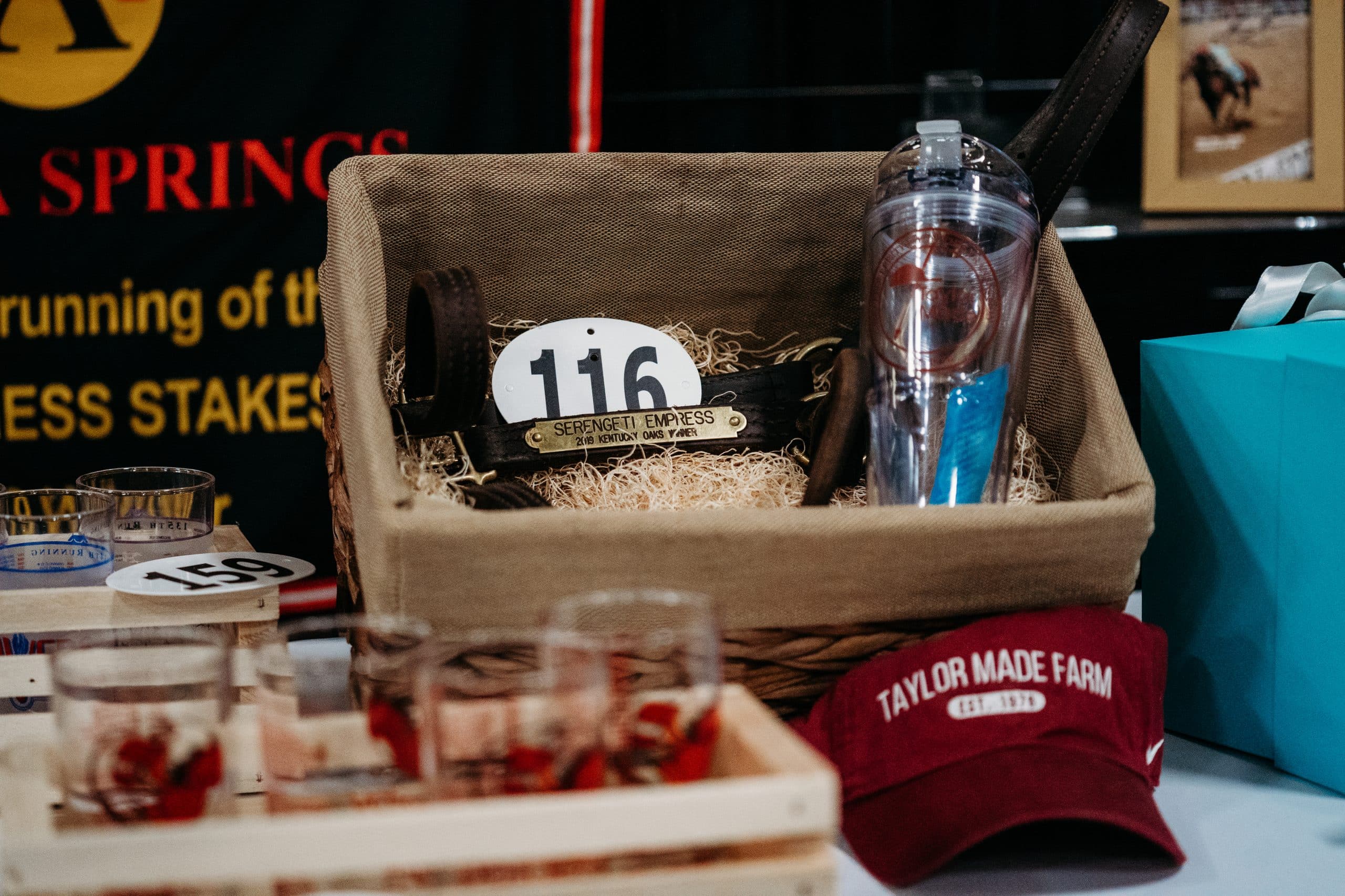 Featured image for “2024 Thoroughbred Makeover Silent Auction Now Accepting Donations”