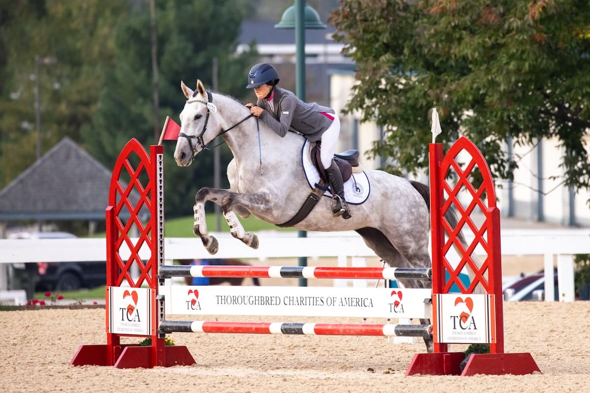 The Thoroughbred Makeover - Retired Racehorse Project